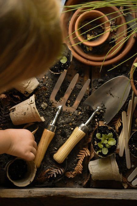 5 Homemade Green Projects that Are Kind to the Environment